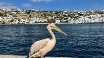 The Real Mykonos: A Private Tour by Locals