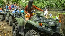 Jungle & Maleku's ATV Arenal Tour (Double ATV)