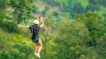 Jungle Zipline & Waterfall Hike at Tree Bridge Cafe Koh Samui