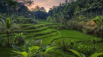 Best of Ubud Full Day Private Tour 