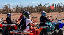Quad Experience in Marrakech, Tea Stop, and Photo with Palm