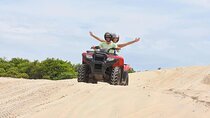 ATV Quad Bike Trip in Takad Forest with Beach Ride - Agadir