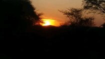  Aquila game reserve Sunset Safari ticket with transport 