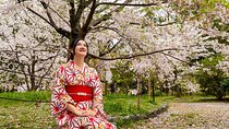 Sakura Season Photoshoot Experience in Kyoto 