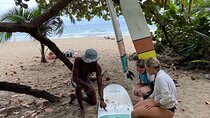 Surf Lesson in WOLABA- Rancho tarzan