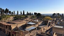 Early bird Herculaneum Tour Beat the Heat