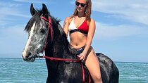 Hurghada: Horseback riding tour Desert & Beach with swimming
