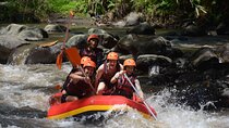 Telaga Waja River Rafting & Zipline (BCR) (Private Transfer) 