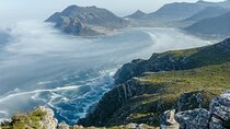 Full Day Excursion to the Cape of Good Hope and Penguins Tour