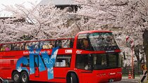 Kyoto Hop-On, Hop-Off Sightseeing Bus Tour