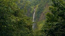 Explore Materuni Waterfalls and Coffee 1 Day Tour