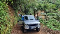 Private 4x4 Jeep Half-Day Tour - "Jurassic Park"