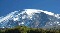 Full Day Kilimanjaro Famous Route Hike Tour