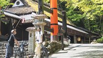 Kyoto Hidden Gems with Snow Peak Bike Rentals