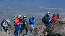 8 Days Kilimanjaro Climb Group Joining Tour via the Lemosho Route
