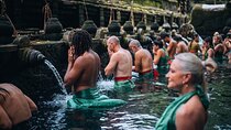 Top Ubud Attractions: Private Full-Day Guided Tour