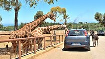 Safari Zoo Adventure and Ostuni Visit in Mini Van