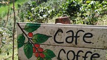 Private Coffee Tour in Medellin | with Free Coffee and Snacks