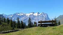Via Alpina 8 Days Guided Hiking Trip in Swiss Alps