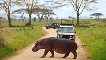4 Days Private Camping Safari to Serengeti Ngorongoro & Tarangire