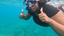 Snorkeling at Pigeon Island