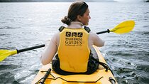 Picton Morning Guided Kayak with Afternoon Boat Cruise Tour