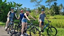 Ubud: Downhill Cycling with Volcano, Rice Terraces and Meal