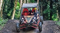 Private Bali UTV Adventure 