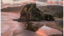 Private Piha Beach, Rainforest Adventure & Mt. Eden with Guide