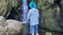 Private Waterfall Hiking in Madeira 4 Spectacular Waterfalls