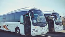 Terceira Island Bus Transfer