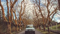 From Angra: Terceira Island Full-Day Jeep Tour