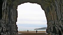 Nugget Point and Cathedral Caves Private Tour from Dunedin