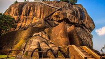 Kandy to Sigiriya and Dambulla Safari Day Tour