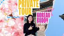 Seoul Private 4 Hour Tour with A Korean Buddy