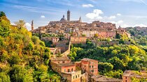 Highlights of Tuscany Pisa San Gimignano Siena and Wine Lunch