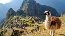 16-Day Latin America Tour from Peru to Brazil
