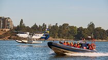 Vancouver to Victoria Seaplane Day Trip + Whale Watching by Boat