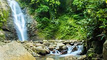 Private Tour Biausevu Waterfall and Fijian Village Experience