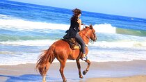 Horseback Riding Adventure in Punta Mita Nayarit
