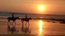 Horse Riding Bali On pigstone beach, Rice Field and village Tour