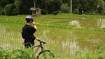 Downhill Jungle and Rice Terrace Cycling Tour