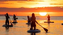 Barcelona: Sunrise Paddle Surf with Instructor and Photos 