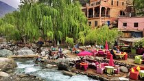 Ourika Valley & Atlas Mountains day trip from Marrakech 