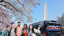 See DC In A Day: Guided Small Group Ultimate Day Tour