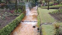 São Miguel : Adventure in the Furnas (includes tickets for thermal rooms)