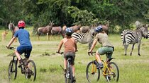 2 Days Lake Mburo Cycling Experience 