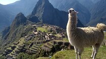 Machu Picchu Private Day Trip from Cusco