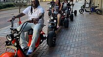 DownTown Houston Premium Trike 2 Seater Self Guided Tour