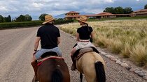 Horseback riding in Mendoza through the vineyards and tasting
